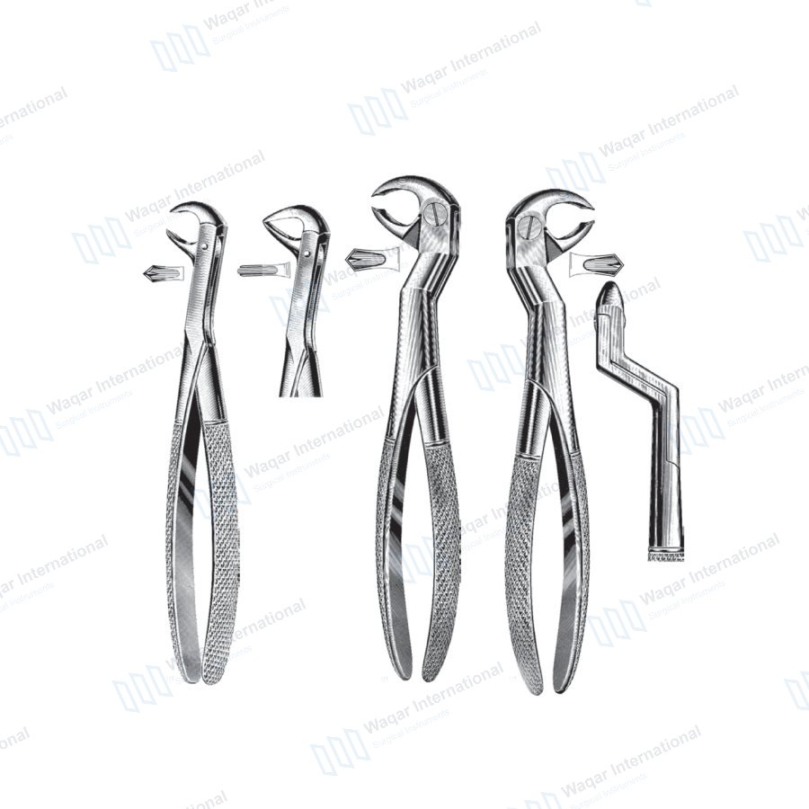 Tooth Extraction Dental Forceps — dental instruments manufactured by Waqar International, Sialkot