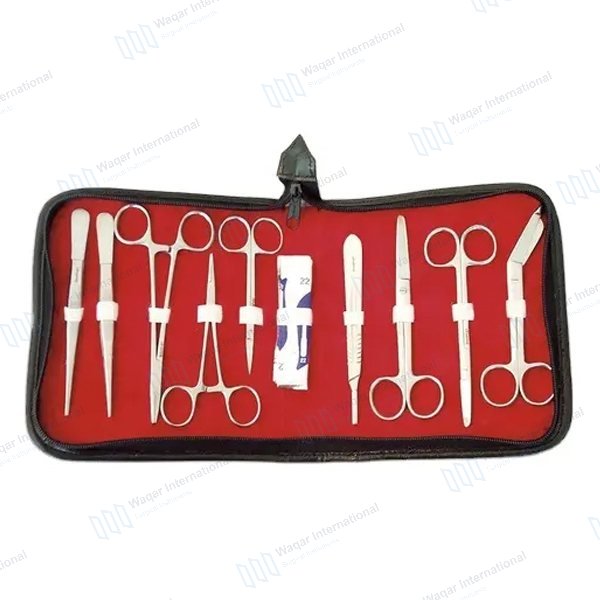 PVC Silicon Anatomical Model Training Suture Tool — surgical instruments manufactured by Waqar International, Sialkot