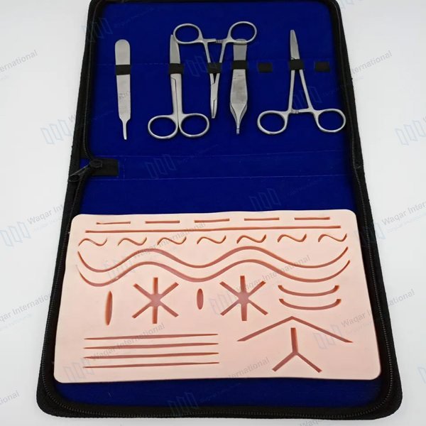 Complete PVC Silicon Anatomical Model — surgical instruments manufactured by Waqar International, Sialkot