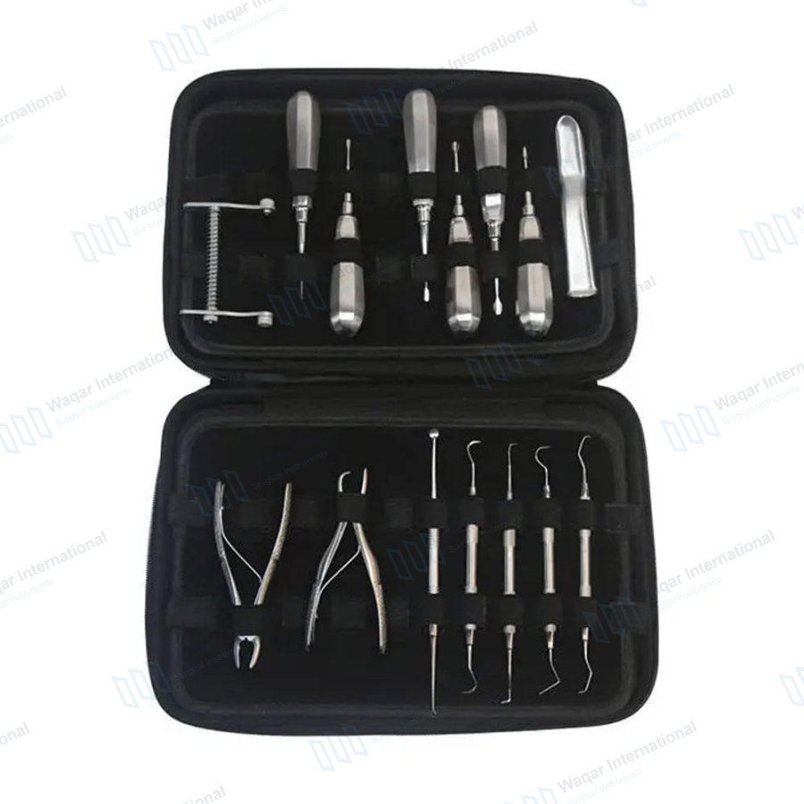 Veterinary Medical Science Manikin for Dogs Standard Handle Elevators — veterinary instruments manufactured by Waqar International, Sialkot