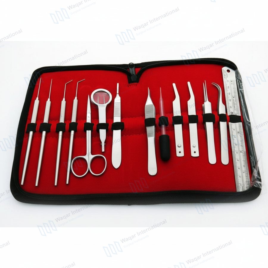 Stainless Steel Entomology Dissection Kit Teaser Needles Adson — surgical instruments manufactured by Waqar International, Sialkot