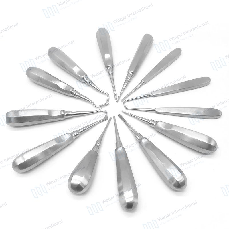 13 Pcs Set Stainless Steel Curved Dental Elevator — dental instruments manufactured by Waqar International, Sialkot
