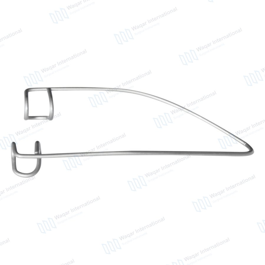 Anatomical Model for Medical Education-Stainless Steel Ophthalmic — eye instruments manufactured by Waqar International, Sialkot