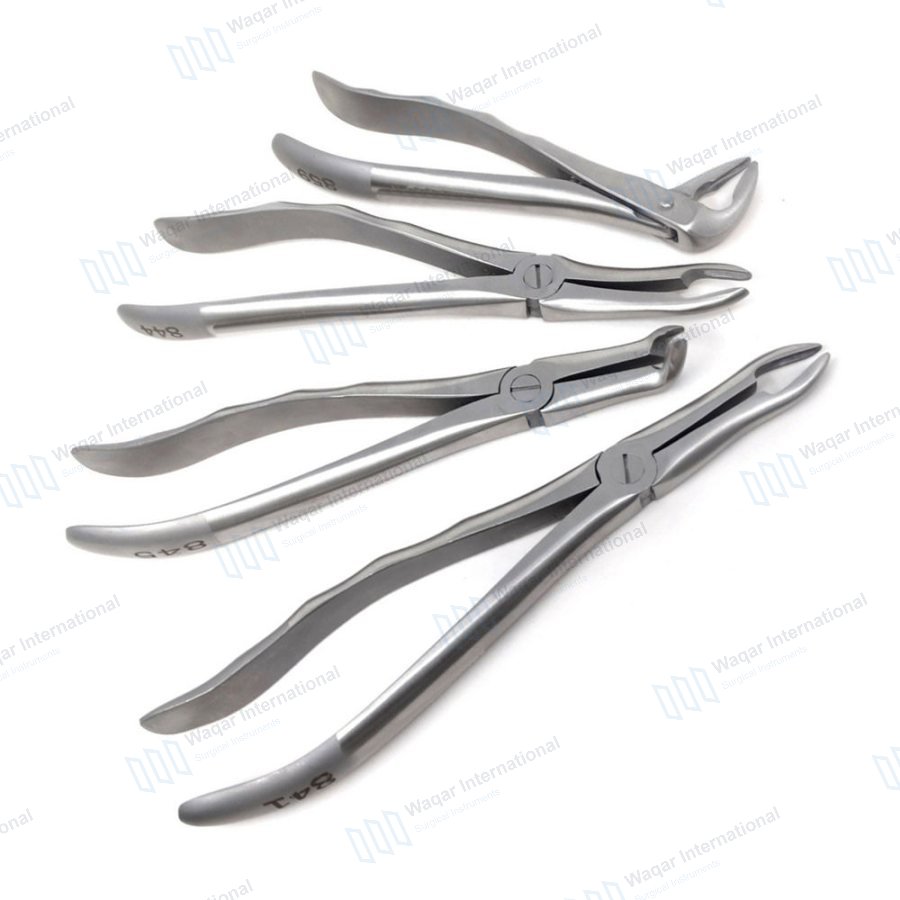 6-Piece Horse Veterinary Extracting Forceps Set Root Tip Instruments — veterinary instruments manufactured by Waqar International, Sialkot
