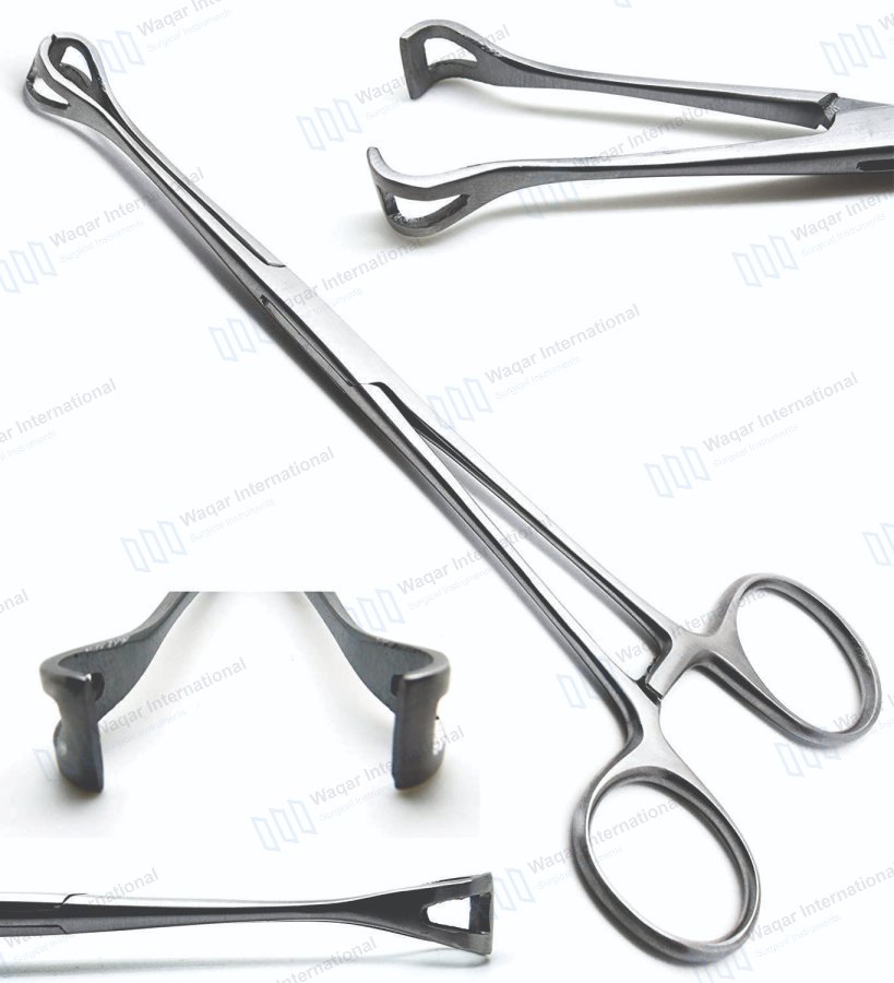 Surgical Babcock Tissue Forceps Straight Size — surgical instruments manufactured by Waqar International, Sialkot