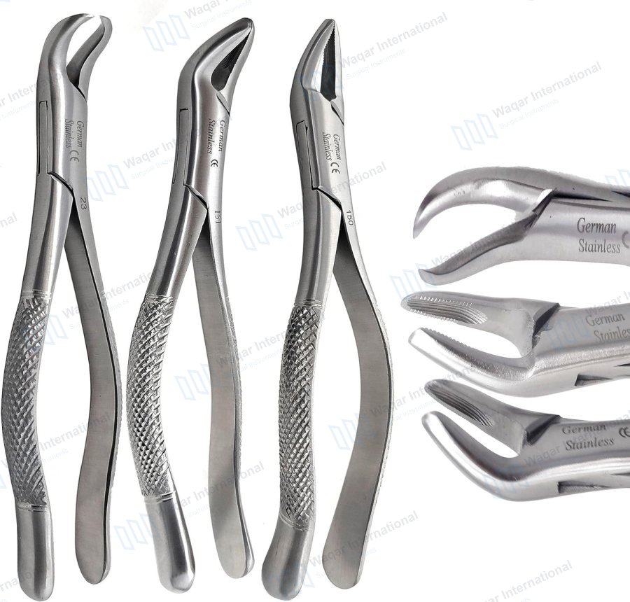 Stainless Steel Adult Tooth Extraction Dental — dental instruments manufactured by Waqar International, Sialkot
