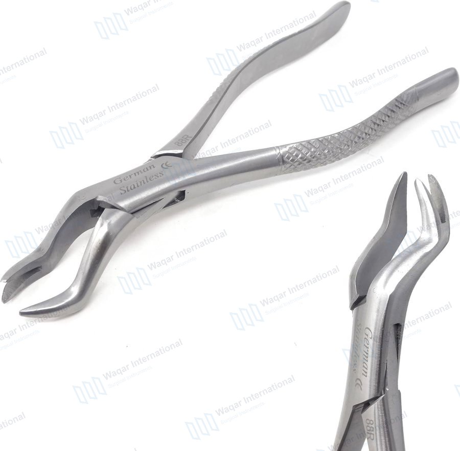 Stainless Steel Dental Extracting Forceps — dental instruments manufactured by Waqar International, Sialkot