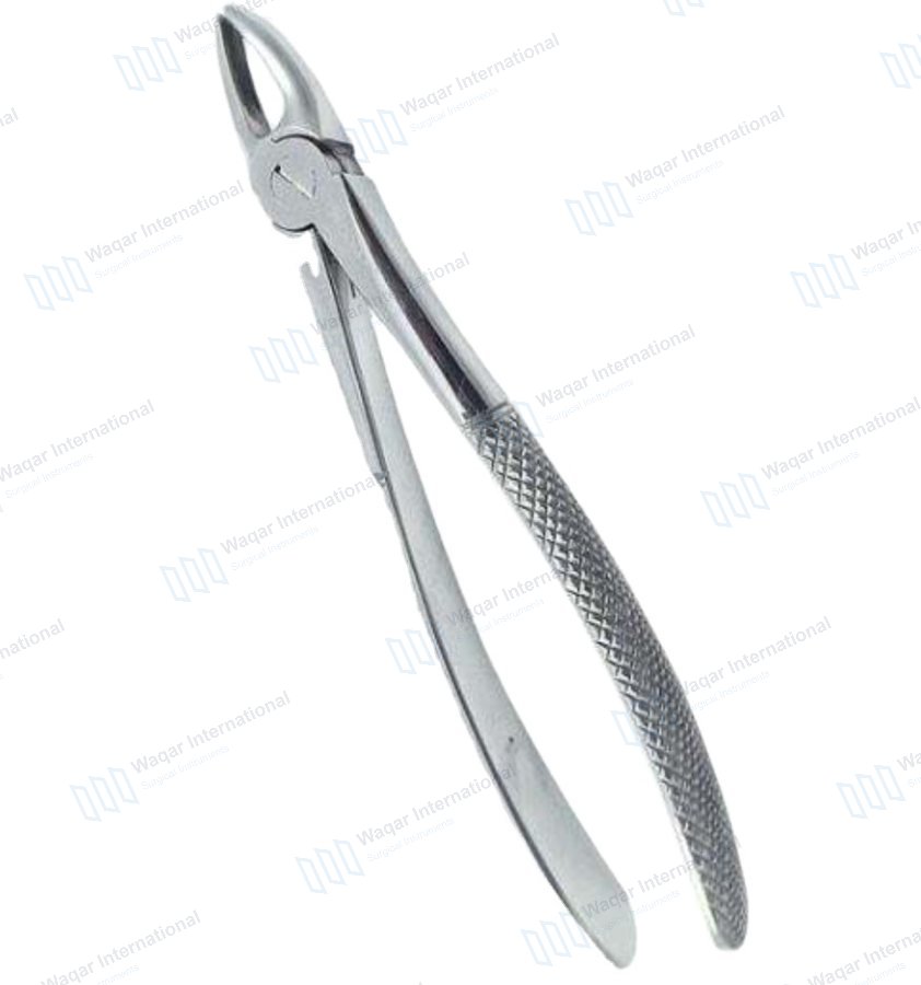 Stainless Steel Dental Forceps Tooth Extracting — dental instruments manufactured by Waqar International, Sialkot