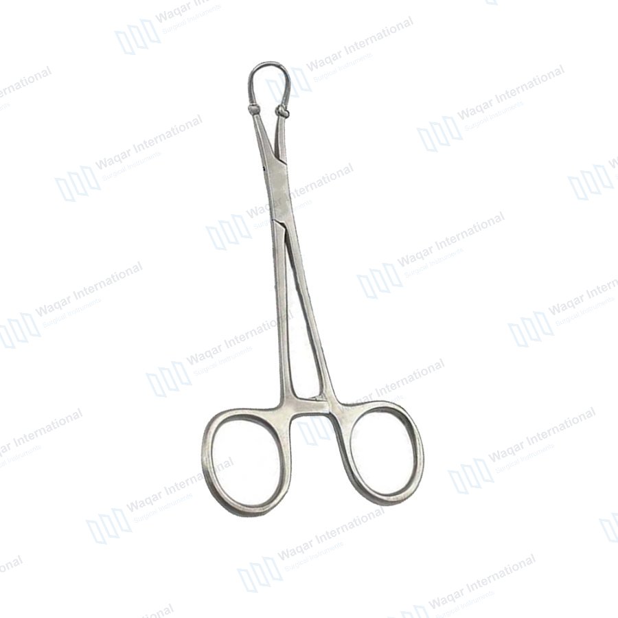 GORAYA GERMAN Dental Surgical Veterinary Backhaus Forceps — veterinary instruments manufactured by Waqar International, Sialkot