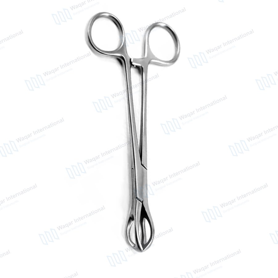 Lane Tissue Forceps 12cm Straight Stainless Steel Veterinary Surgical — veterinary instruments manufactured by Waqar International, Sialkot