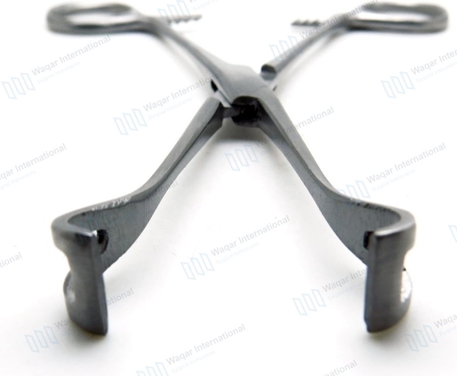 Babcock Tissue Forceps 8 Inch Medical — surgical instruments manufactured by Waqar International, Sialkot