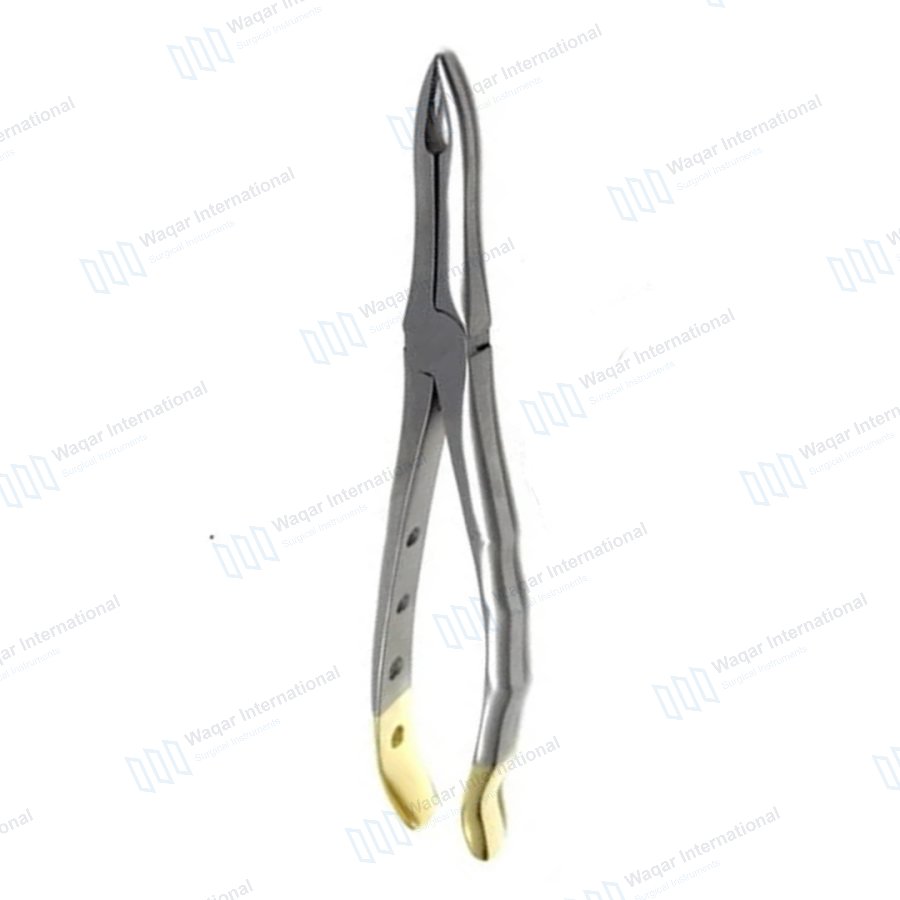 16cm Stainless Steel Dental Extracting Forceps No 16 — dental instruments manufactured by Waqar International, Sialkot