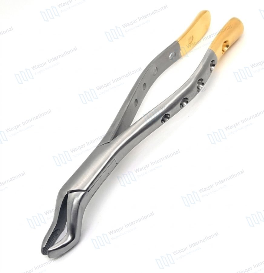 Dental Extraction Forceps 10S Gold Handle Stainless Steel Upper — dental instruments manufactured by Waqar International, Sialkot
