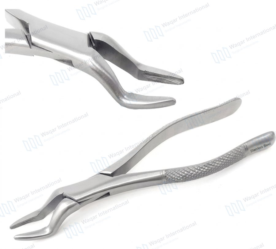 Dental Extraction Forceps Stainless Steel Universal Serrated Jaw Instrument — dental instruments manufactured by Waqar International, Sialkot