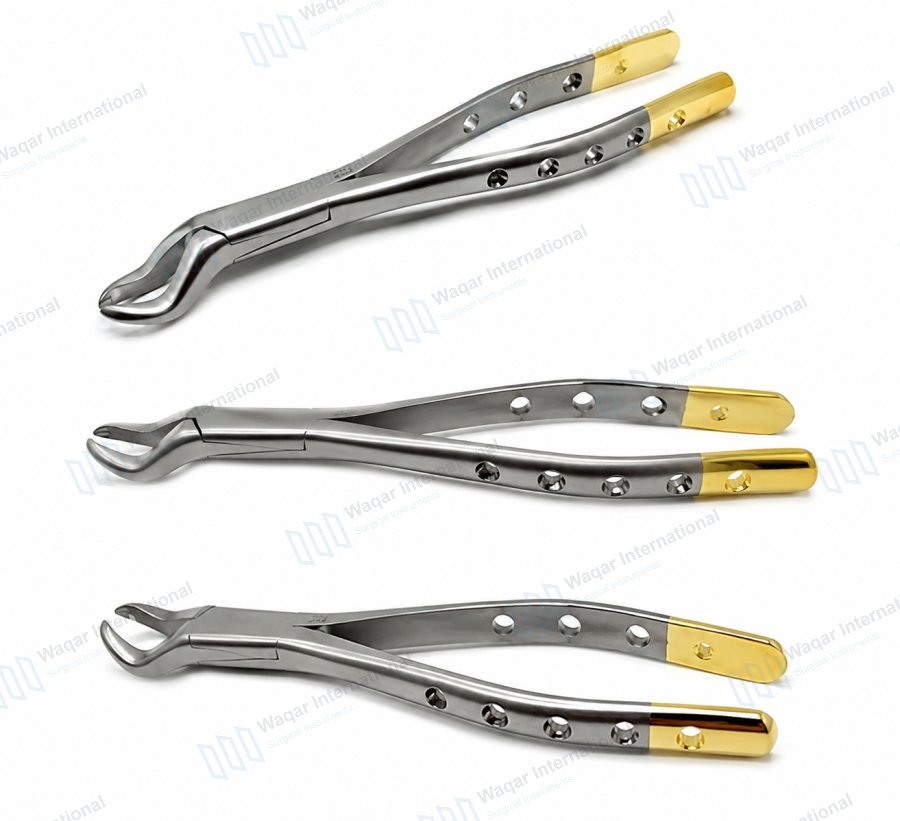 Dental Extracting Forceps Stainless Steel Oral Surgery Instrument — dental instruments manufactured by Waqar International, Sialkot