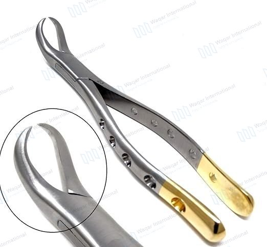 Dental Extraction Forceps Stainless Steel Serrated Jaw Tooth Extraction — dental instruments manufactured by Waqar International, Sialkot