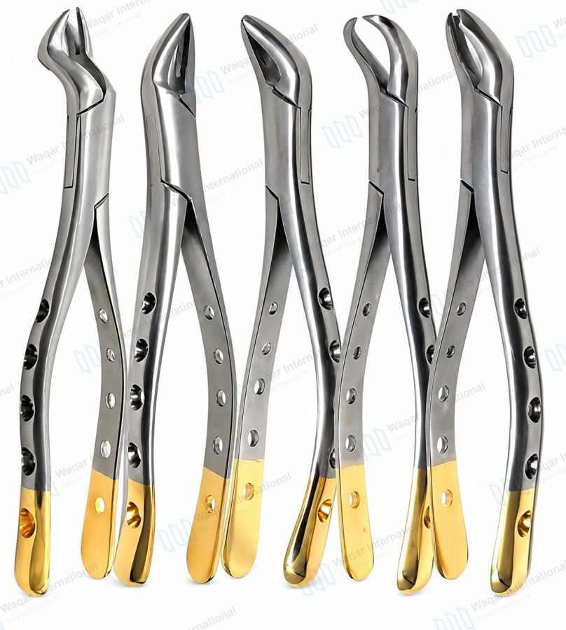 Dental Extracting Forceps Set 5PCS Gold Handle Tooth Extraction — dental instruments manufactured by Waqar International, Sialkot