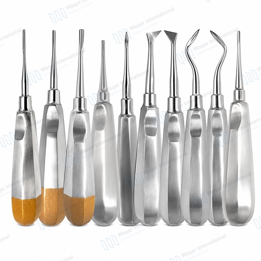 Dental Root Elevators Set 10PCS Stainless Steel Extraction Tools — dental instruments manufactured by Waqar International, Sialkot
