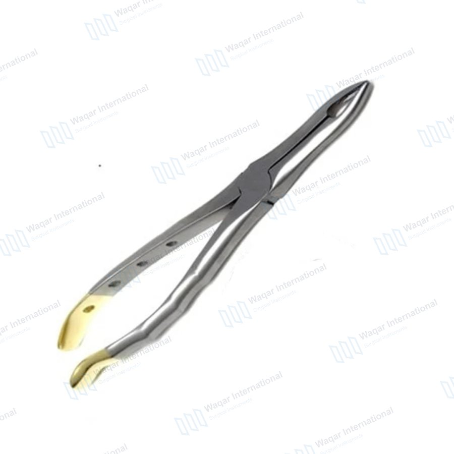 Dental Extraction Serrated Forceps Stainless Steel Tooth Extraction Instrument — dental instruments manufactured by Waqar International, Sialkot