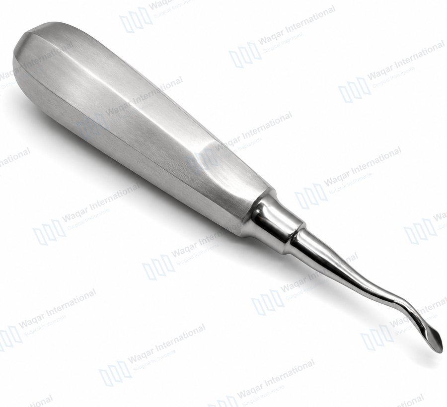 Berenard Curved Elevator Dental Root Extraction Tool — dental instruments manufactured by Waqar International, Sialkot