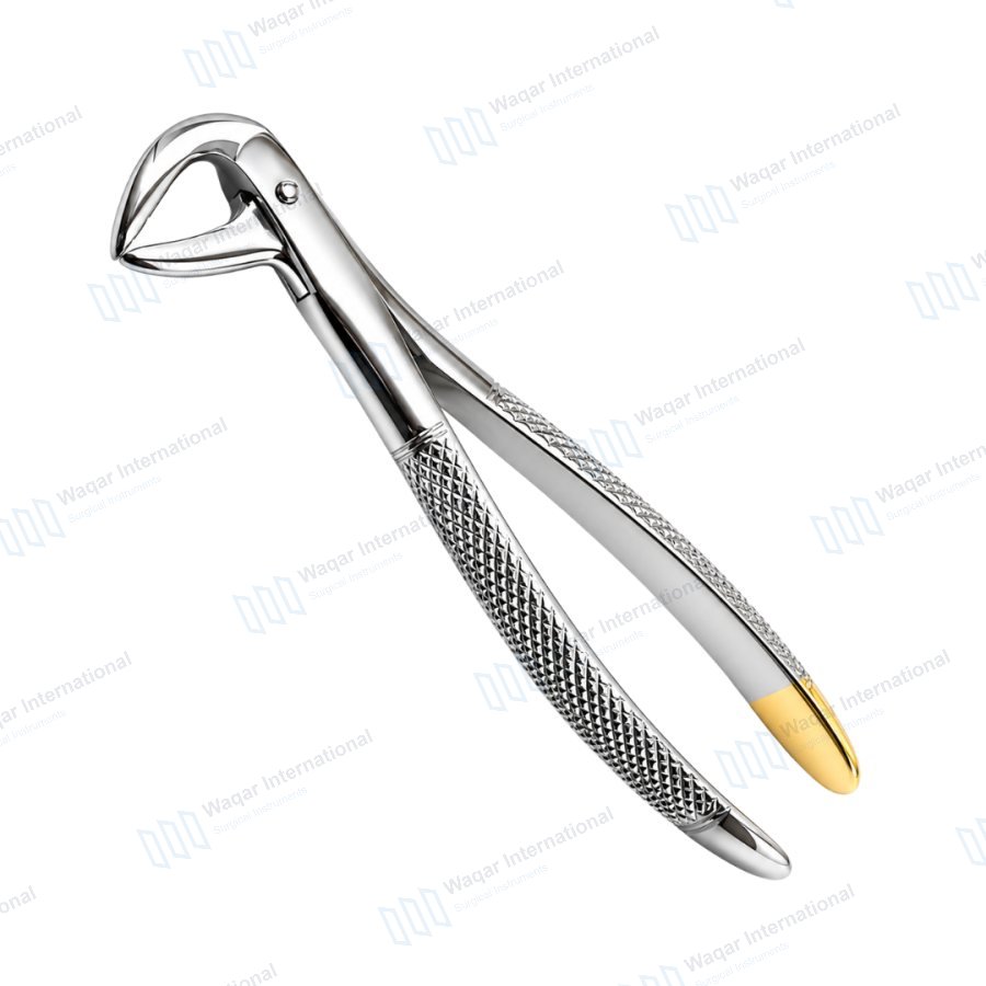 Dental Extracting Forceps Tooth Removal Instrument for Oral Surgery — dental instruments manufactured by Waqar International, Sialkot