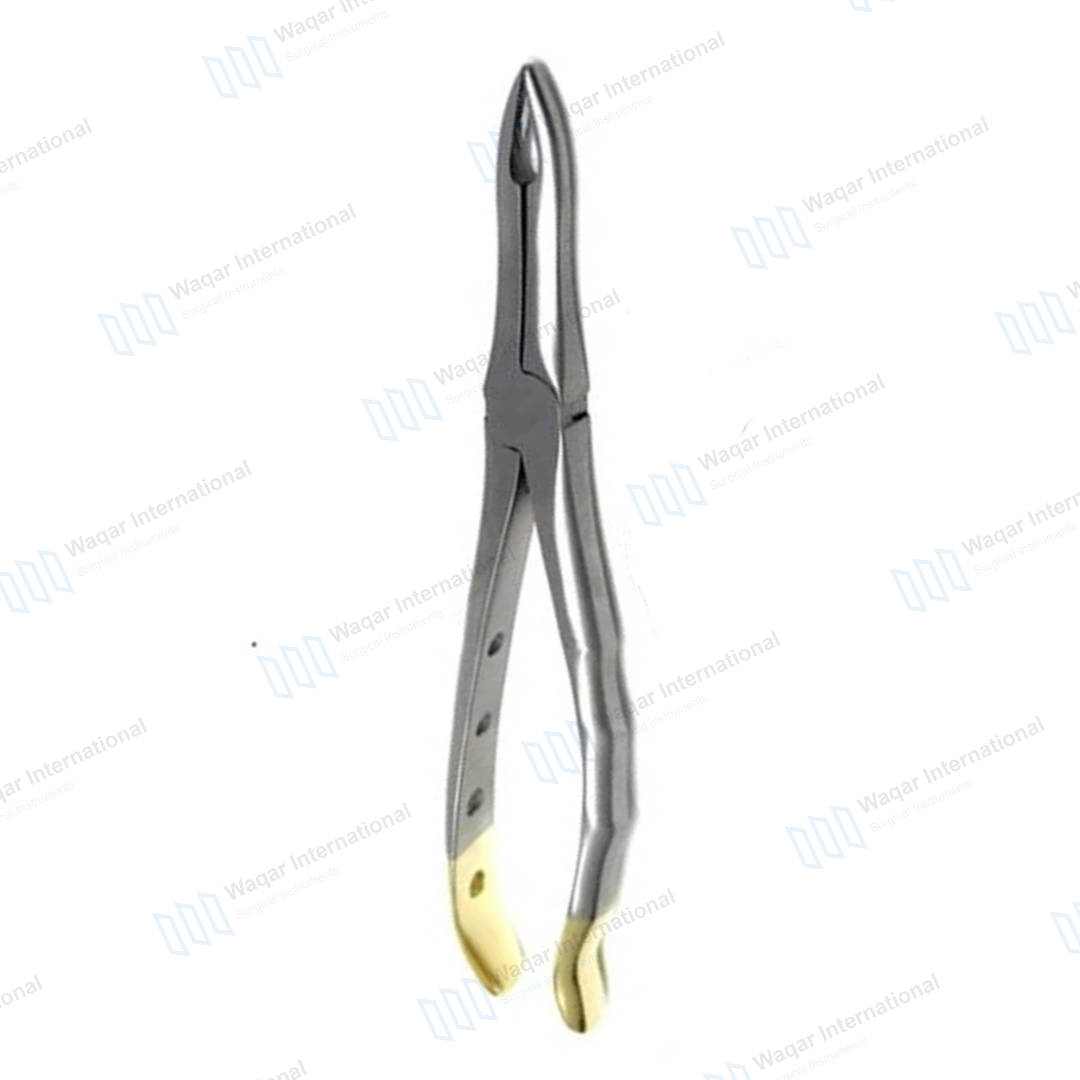Dental Extracting Serrated Forceps — surgical instruments manufactured by Waqar International, Sialkot