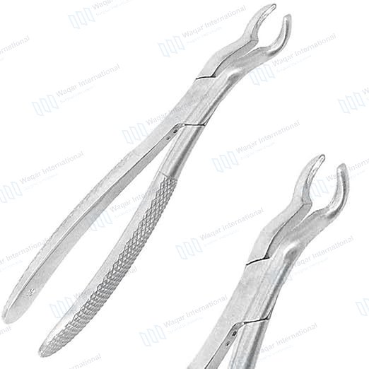 Lower Molar Extraction Forceps Serrated Handles Firm — surgical instruments manufactured by Waqar International, Sialkot