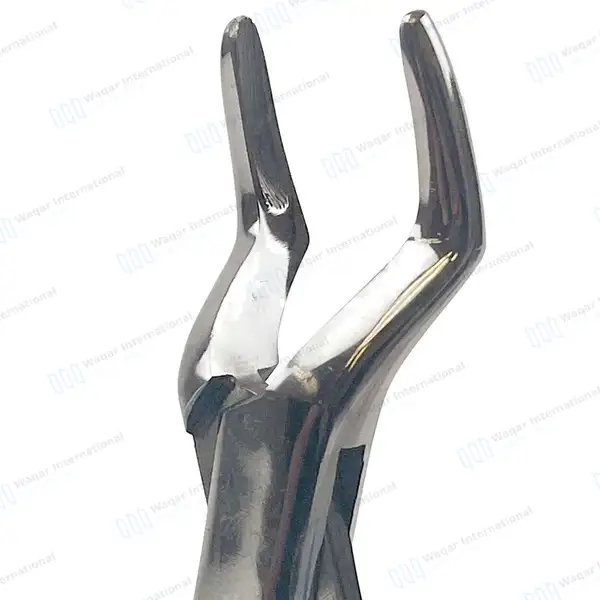 3 Pcs Dental Extracting Forceps #65 for Upper Roots - dental instruments manufactured by Waqar International, Sialkot - view 3