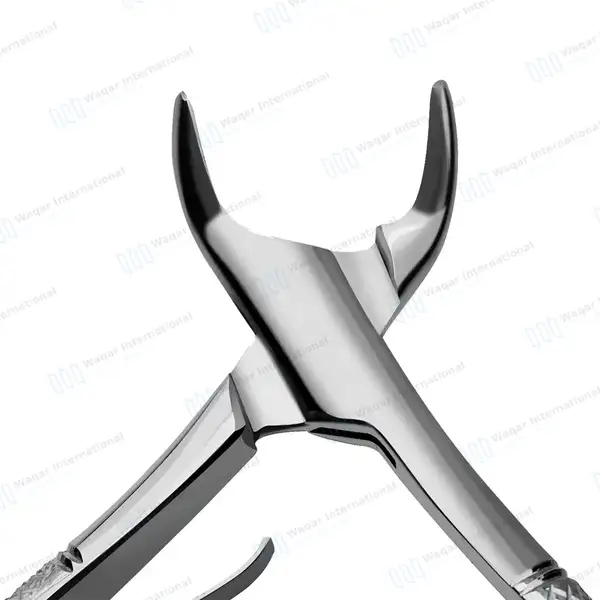 3 Universal Pedo Extracting Forceps Set #151 1/2S for Lower Teeth - surgical instruments manufactured by Waqar International, Sialkot - view 4