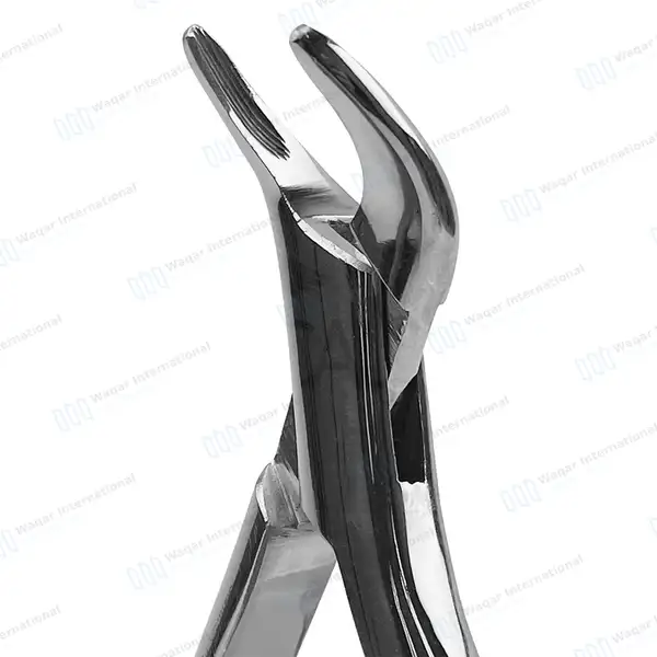 3 Extracting Forceps #103 for Lower Bicuspids, Incisors & Roots - dental instruments manufactured by Waqar International, Sialkot - view 4