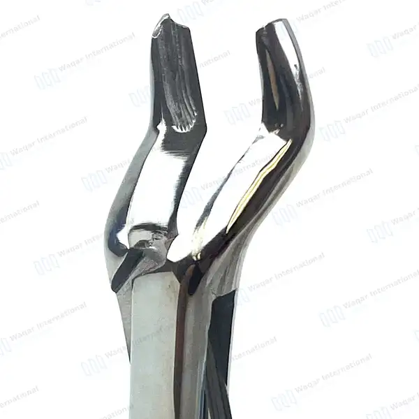 3 Pcs Extracting Forceps #53R for Upper 1st & 2nd Right Molars - dental instruments manufactured by Waqar International, Sialkot - view 2