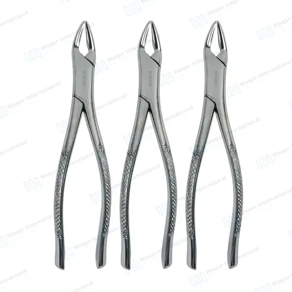3 Extracting Forceps #150A for Upper Inscisors, Cuspids and Bicuspids - dental instruments manufactured by Waqar International, Sialkot - view 2