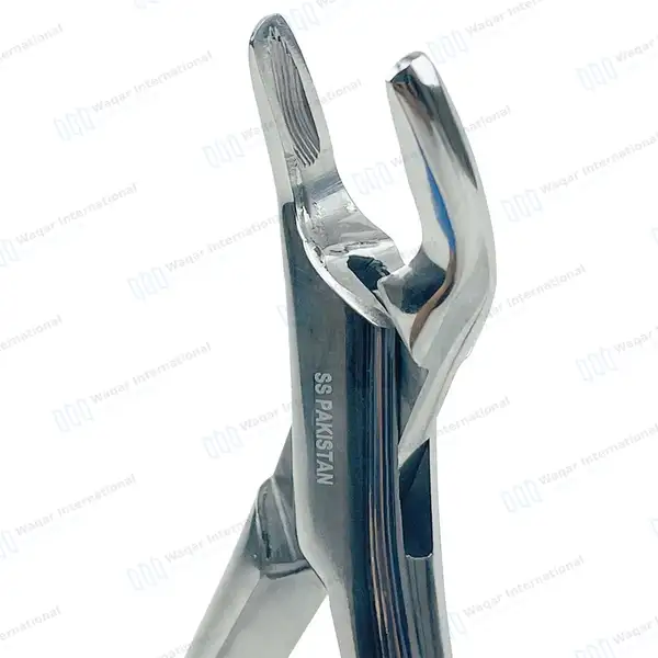 3 Extracting Forceps #150A for Upper Inscisors, Cuspids and Bicuspids - dental instruments manufactured by Waqar International, Sialkot - view 4