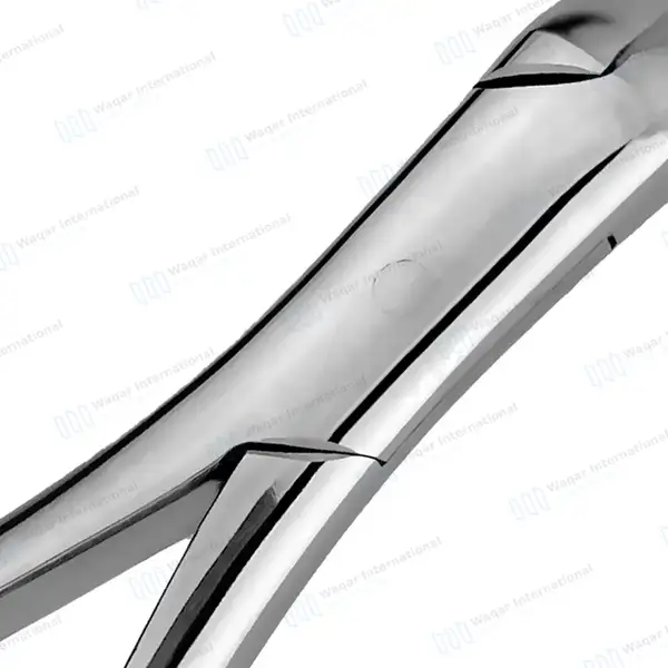 3 Extracting Forceps #286 for Upper Roots, Incisors & Premolars - dental instruments manufactured by Waqar International, Sialkot - view 4