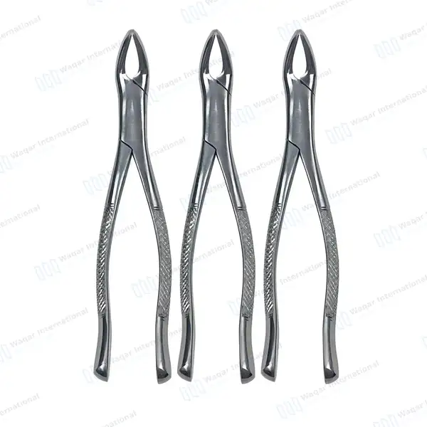 3 Universal Extraction Forceps #151 for Lower Teeth - dental instruments manufactured by Waqar International, Sialkot - view 2