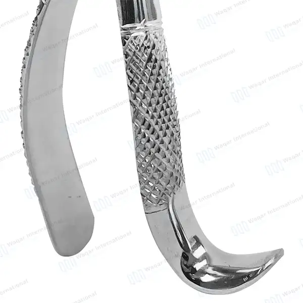 3 Dental Extracting Forceps 18L for Upper 1st & 2nd Molars - dental instruments manufactured by Waqar International, Sialkot - view 4