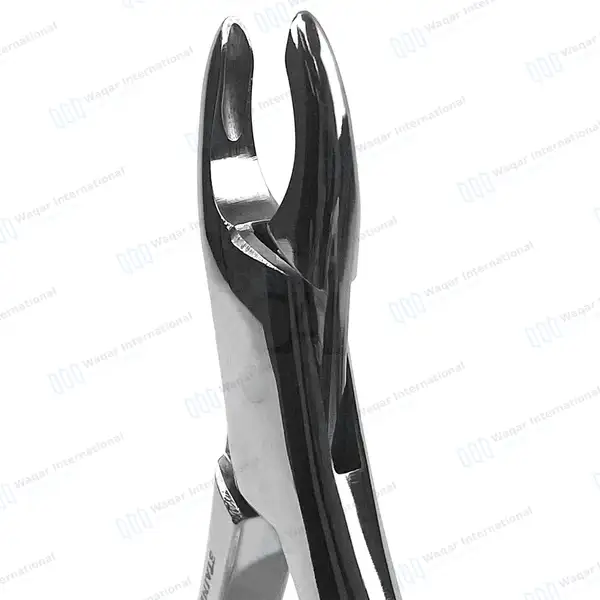 3 Extracting Forceps #213 for Upper Central & Canines Roots - dental instruments manufactured by Waqar International, Sialkot - view 3