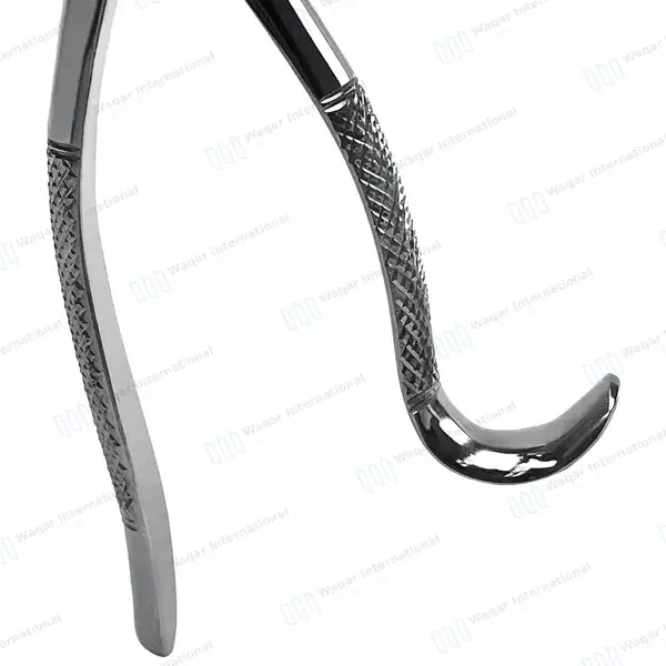 3 Extracting Forceps #213 for Upper Central & Canines Roots - dental instruments manufactured by Waqar International, Sialkot - view 4