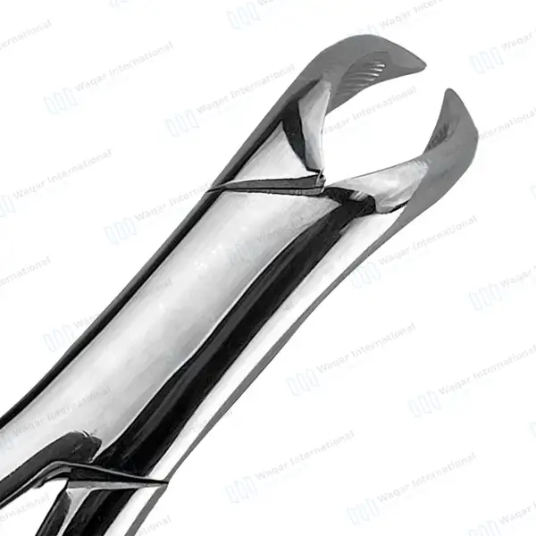 3 Extracting Forceps 3FS Dental Surgical Instruments - dental instruments manufactured by Waqar International, Sialkot - view 3