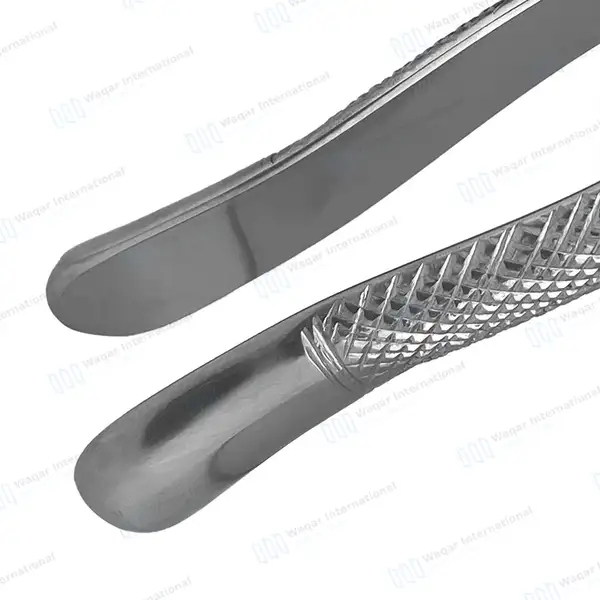 10 Extracting Forceps 3FS Dental Surgical Instruments - dental instruments manufactured by Waqar International, Sialkot - view 5