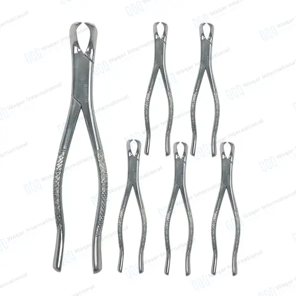 6 Pcs Dental Extracting Forceps #23 Cow Horn for Lower Molar - dental instruments manufactured by Waqar International, Sialkot - view 2