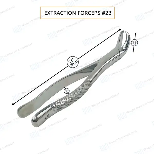 6 Pcs Dental Extracting Forceps #23 Cow Horn for Lower Molar - dental instruments manufactured by Waqar International, Sialkot - view 4