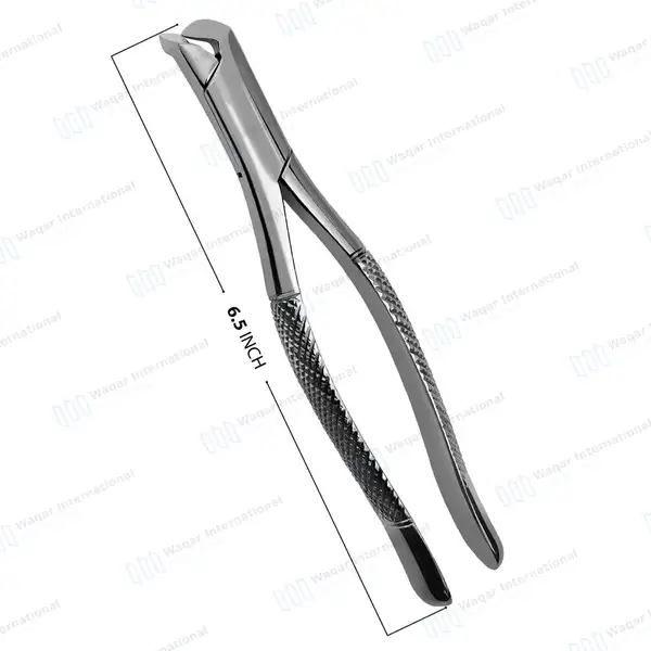 6 Extracting Forceps #6 Upper & Lower Teeth Splitting & Separating - dental instruments manufactured by Waqar International, Sialkot - view 3