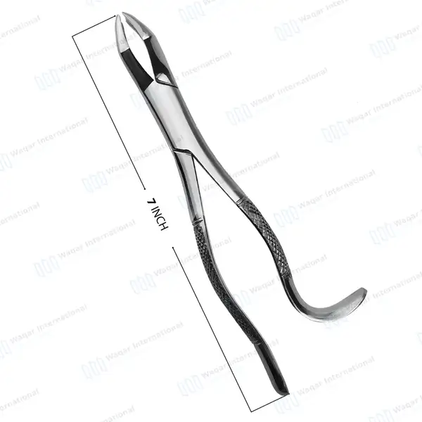 6 Dental Extracting Forceps #10H Upper Molars Universal - dental instruments manufactured by Waqar International, Sialkot - view 3