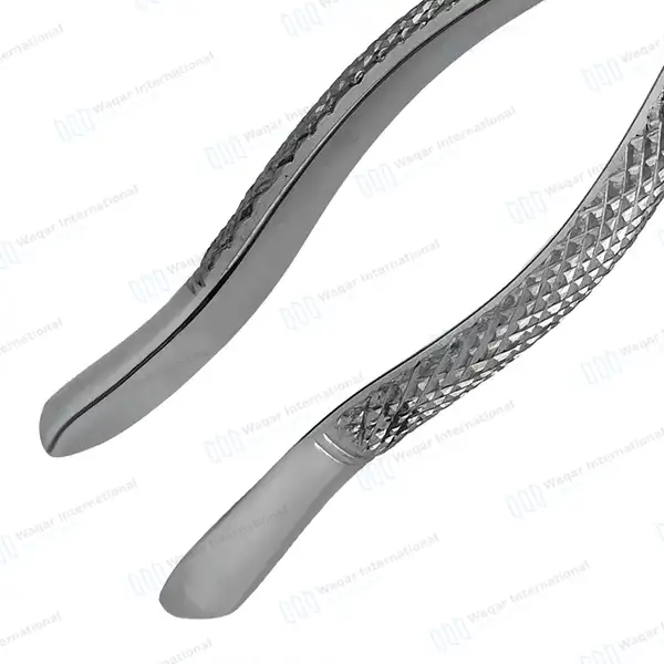 6 Extracting Forceps #286 for Upper Roots, Incisors & Premolars - dental instruments manufactured by Waqar International, Sialkot - view 6