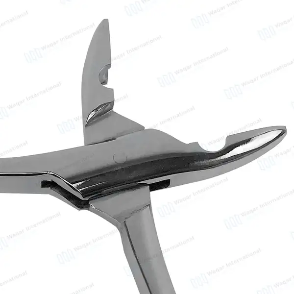 6 Dental Extracting Kells Forceps #99C - dental instruments manufactured by Waqar International, Sialkot - view 4