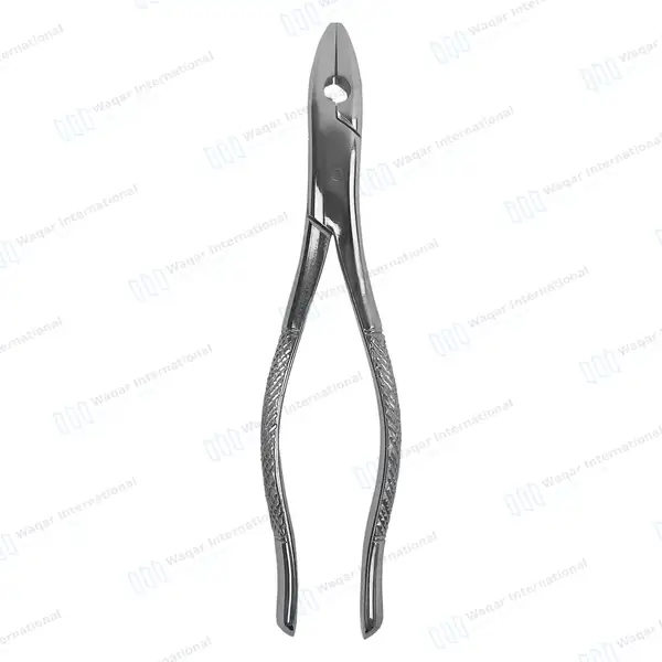 6 Dental Extracting Kells Forceps #99C - dental instruments manufactured by Waqar International, Sialkot - view 6