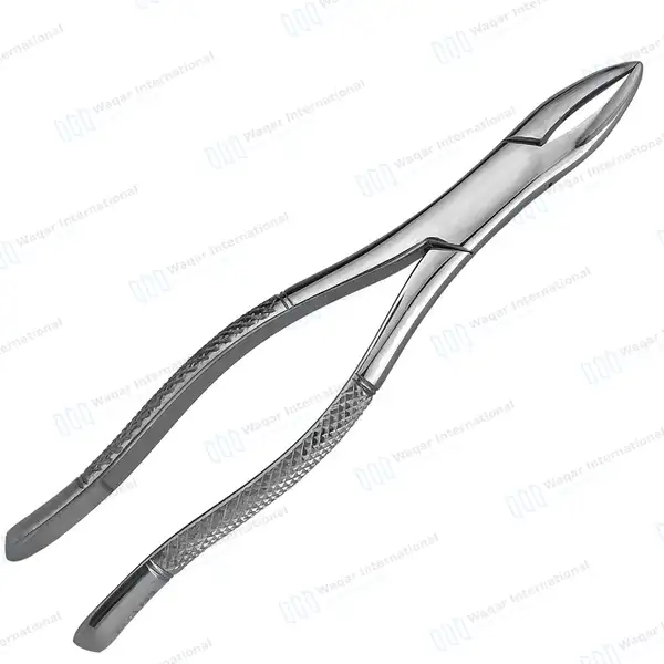 12 Extracting Forceps Dental Surgical 1 Hen - dental instruments manufactured by Waqar International, Sialkot - view 8
