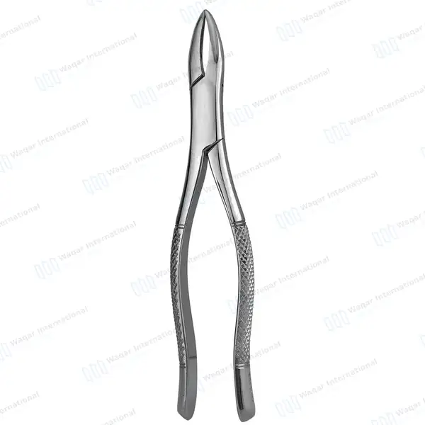 12 Extracting Forceps Dental Surgical 1 Hen - dental instruments manufactured by Waqar International, Sialkot - view 9