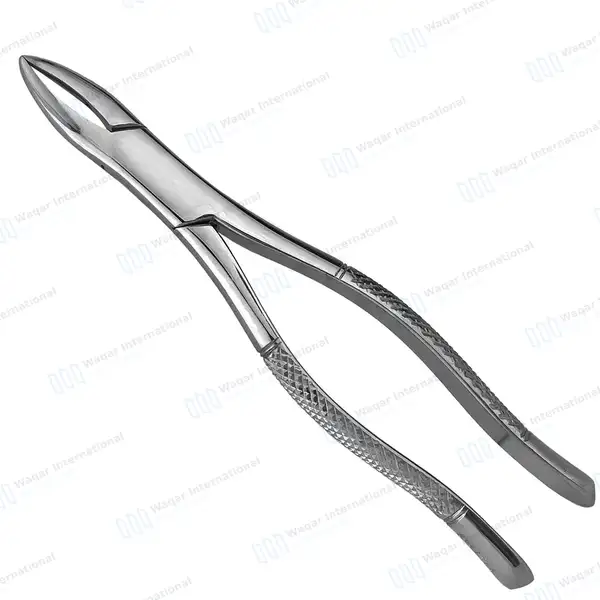 6 Extracting Forceps Dental Surgical 1 Hen - dental instruments manufactured by Waqar International, Sialkot - view 2